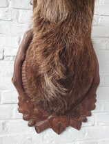 Black forest wallhanger (Trophy)