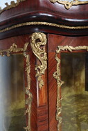 Louis XV (Vernis Martin) Vitrine (Display Cabinet)