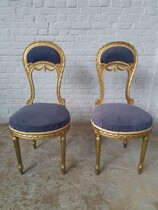 Louis XVI Parlor set