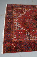 Oriental Carpet (handmade)