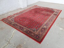 Oriental carpet  (Rug)