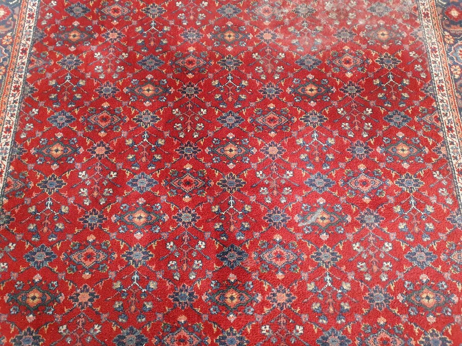 Oriental carpet  (Rug)