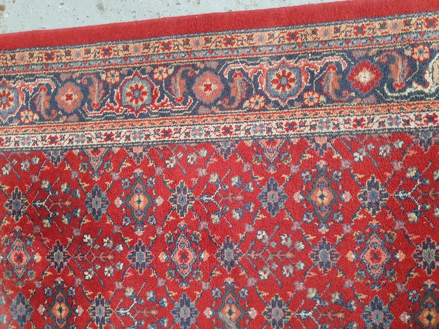 Oriental carpet  (Rug)
