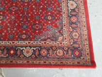 Oriental carpet  (Rug)