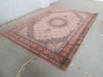 carpet  (Rug) Oriental Iran Wool 1920