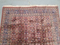Oriental carpet  (Rug)