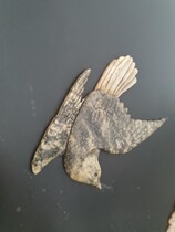 Oriental (Chinese) Cabinet