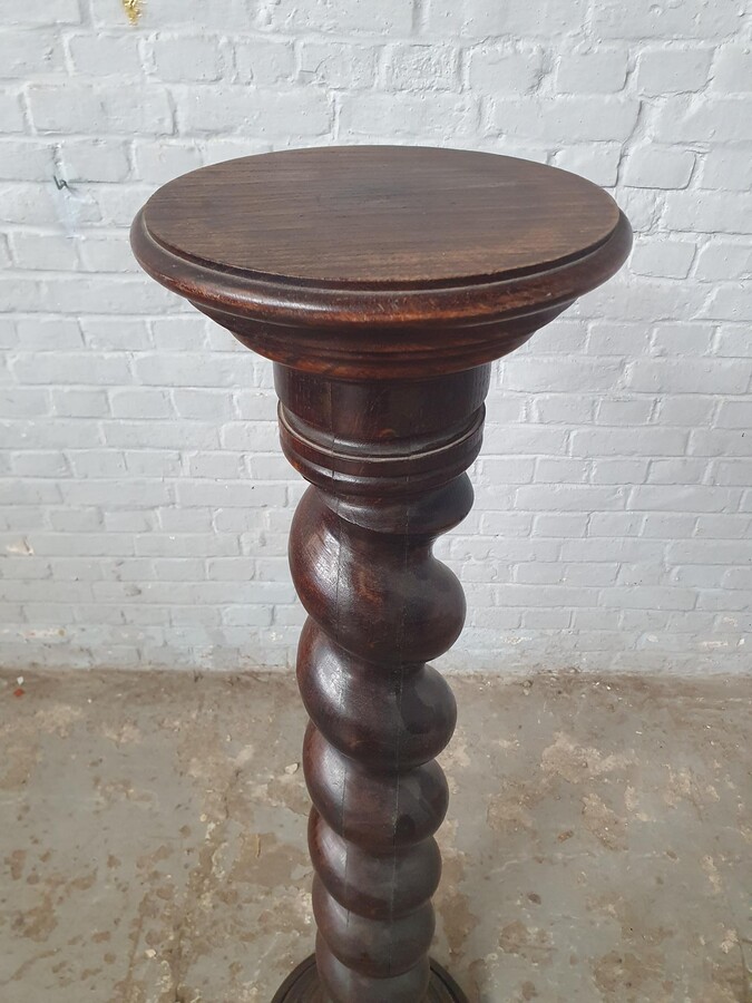 Renaissance column (large)