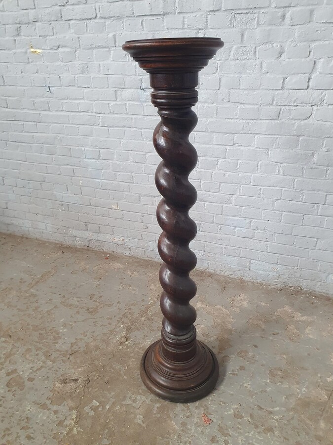 Renaissance column (large)